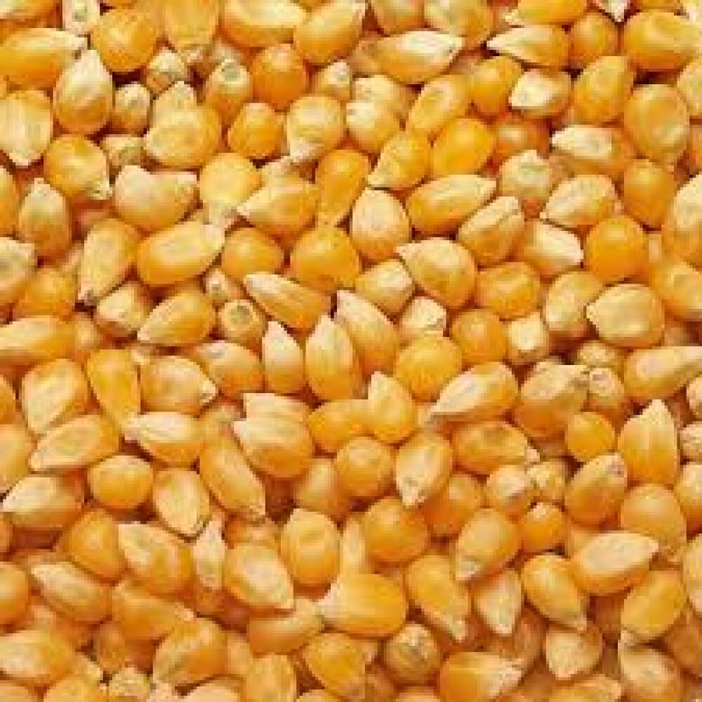 Кукуруза зерна 1кг
