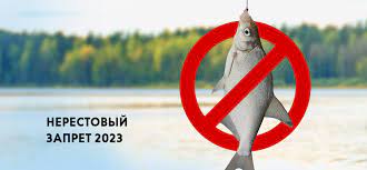 Запрет на ловлю рыбы в 2023 г.